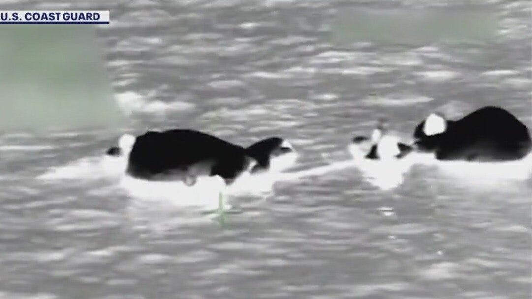 Coast Guard saves 5 boaters off Egmont Key