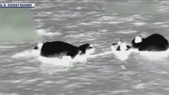 Coast Guard saves 5 boaters off Egmont Key