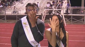 High 5 Sports - Week Seven