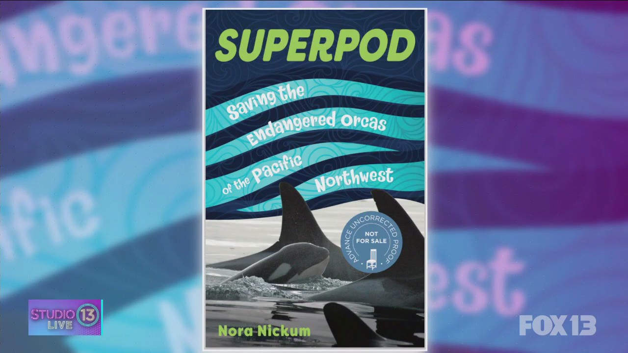 'Superpod' author Nora Nickum discusses PNW orcas, sustainability