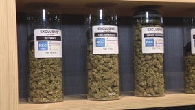 Royal Oak commissioners approves cannabis sales in city