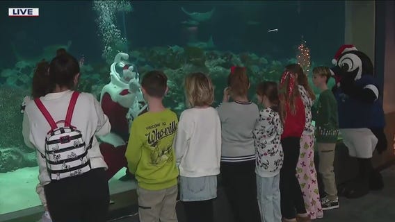 Countdown to Winter Wonderland at OdySea Aquarium