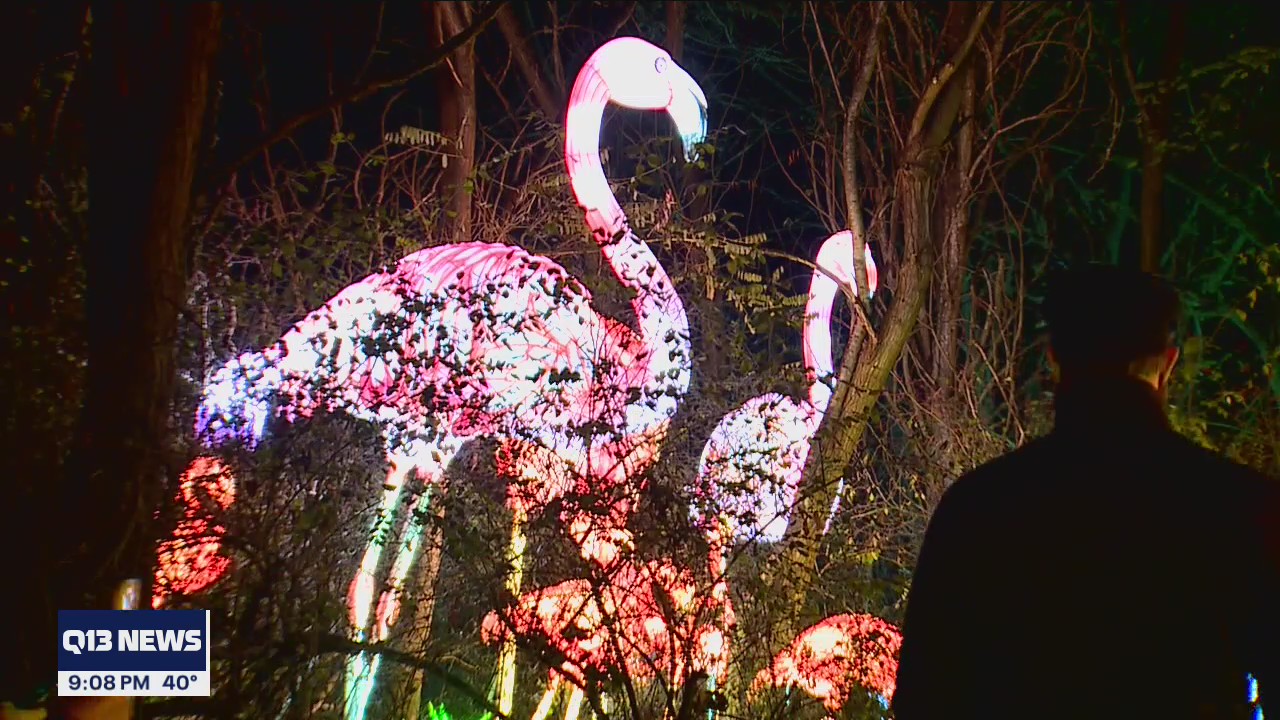 Woodland Park Zoo brightens holiday season with new lantern festival