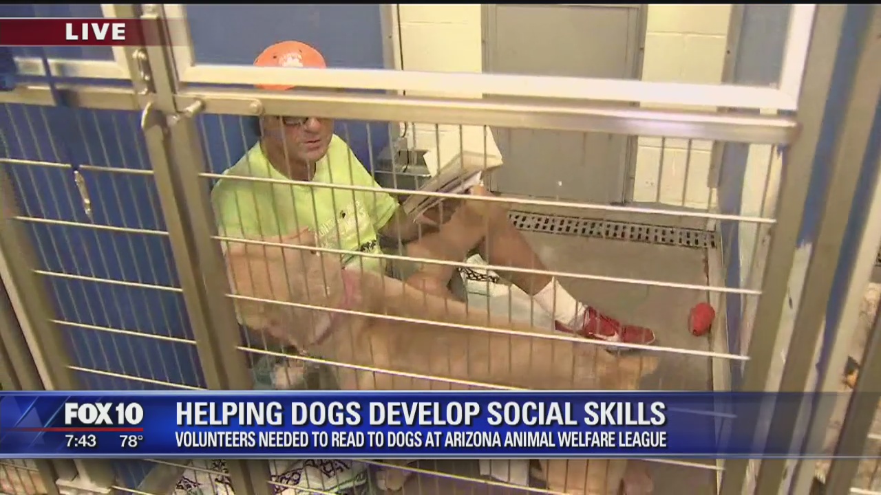 Reading to dogs to help develop their social skills