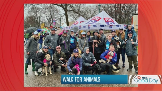 Rain doesn't deter crowds from Walk for Animals