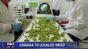 Canada set to legalize marijuana