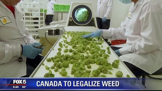 Canada set to legalize marijuana