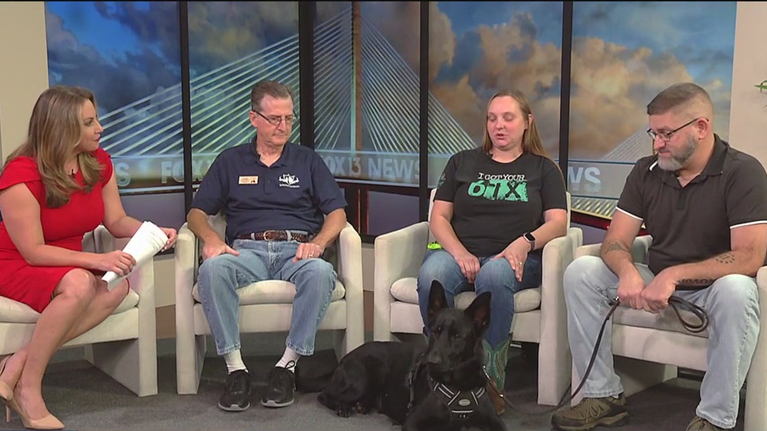 Organization pairs veterans with service dogs