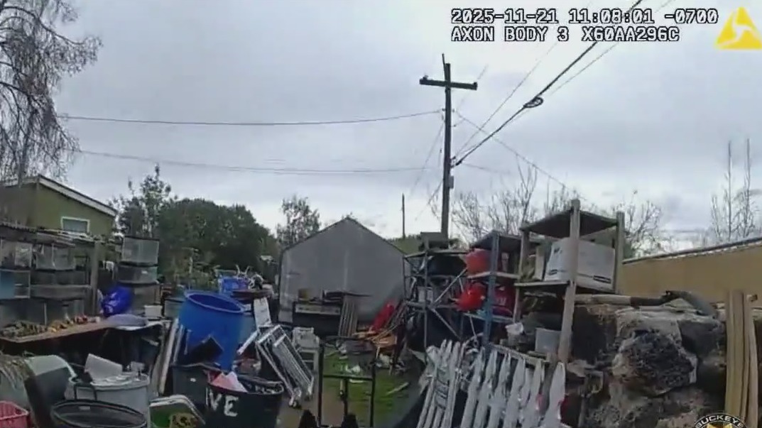 Video shows police tracking sex offender near bus stop