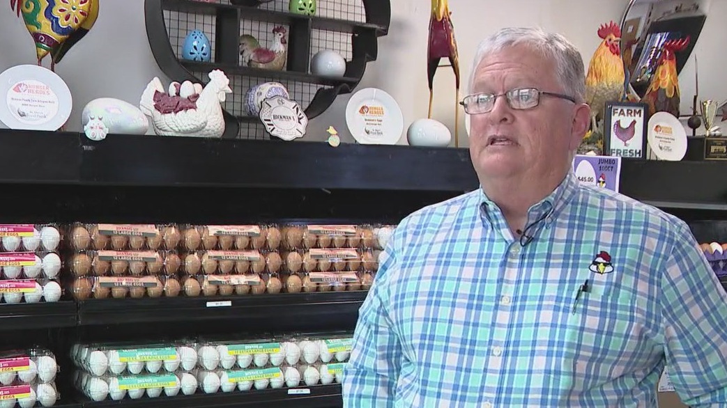 How bird flu impacts egg production, distribution