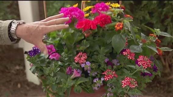 FOX 9 Good Day: May 1, 2025