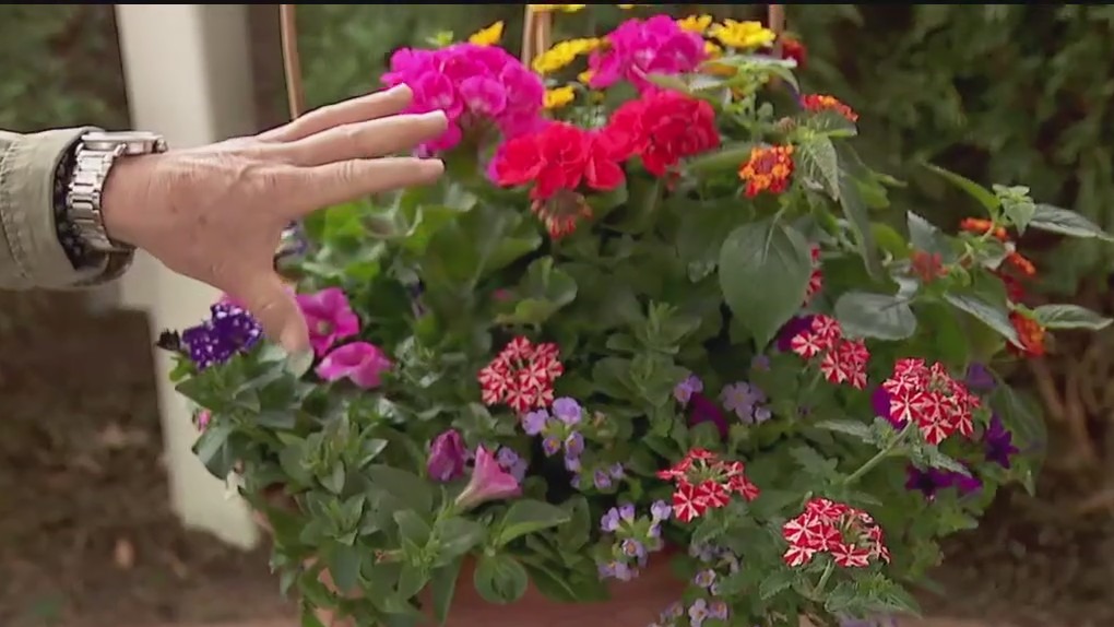 FOX 9 Good Day: May 1, 2025