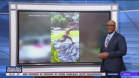 UPS driver speeds down slip-and-slide