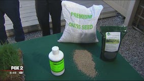 Safely caring for your lawn on Earth Day