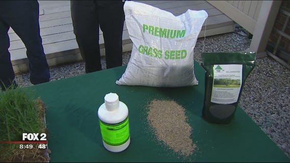 Safely caring for your lawn on Earth Day