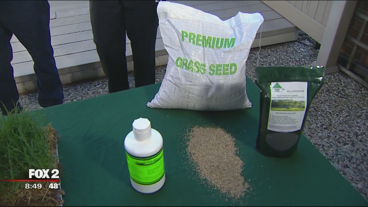 Safely caring for your lawn on Earth Day