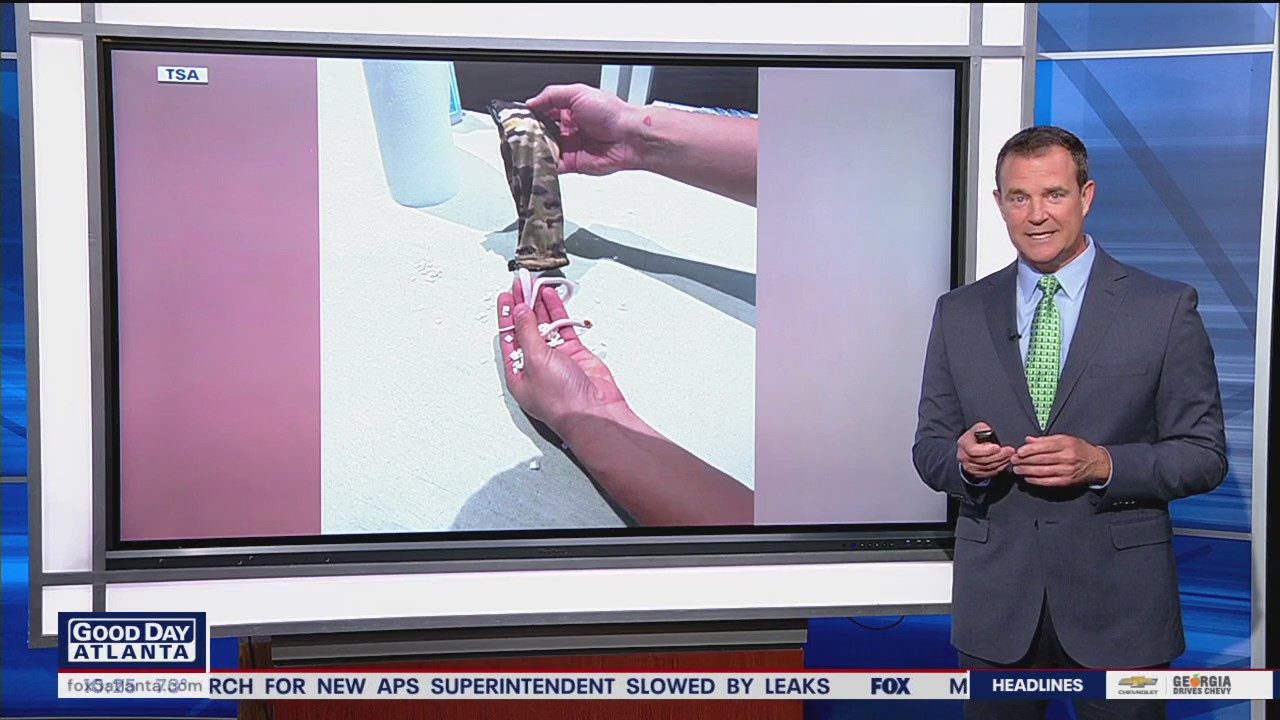 TSA agents find snakes in man's pants