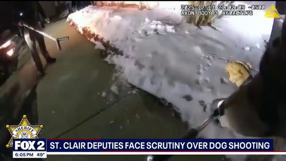 Stray dog shot, killed by St. Clair County deputies 