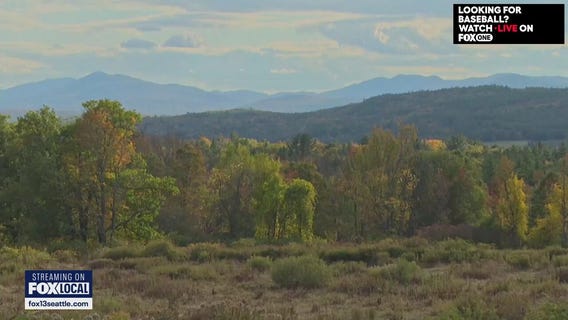 Fall foliage less vibrant in much of the US