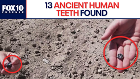 ASU researchers dig for ancient teeth in Ethiopia