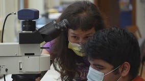 Transplant recipient becomes dino doc for a day