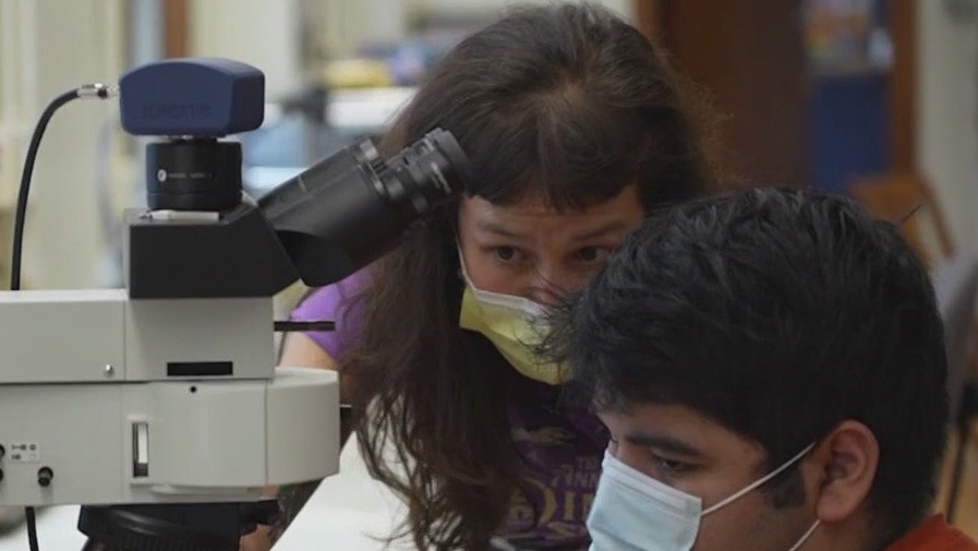 Transplant recipient becomes dino doc for a day