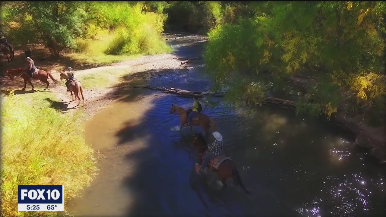 Watch: The best of FOX 10 Drone team video