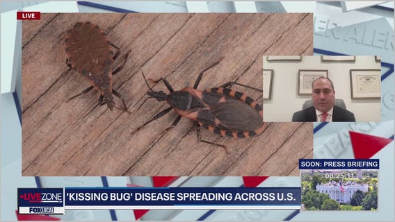What is 'kissing bug' disease? Expert says Chagas disease is endemic