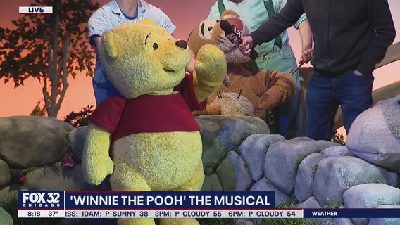 'Winnie the Pooh: The New Magical Stage Adaptation' brings the splendor of the Hundred Acre Wood to Chicago