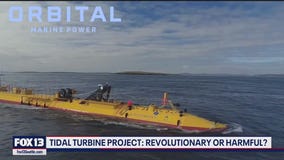 Giant turbine sparks outrage in WA orca habitat