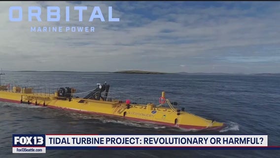 Giant turbine sparks outrage in WA orca habitat