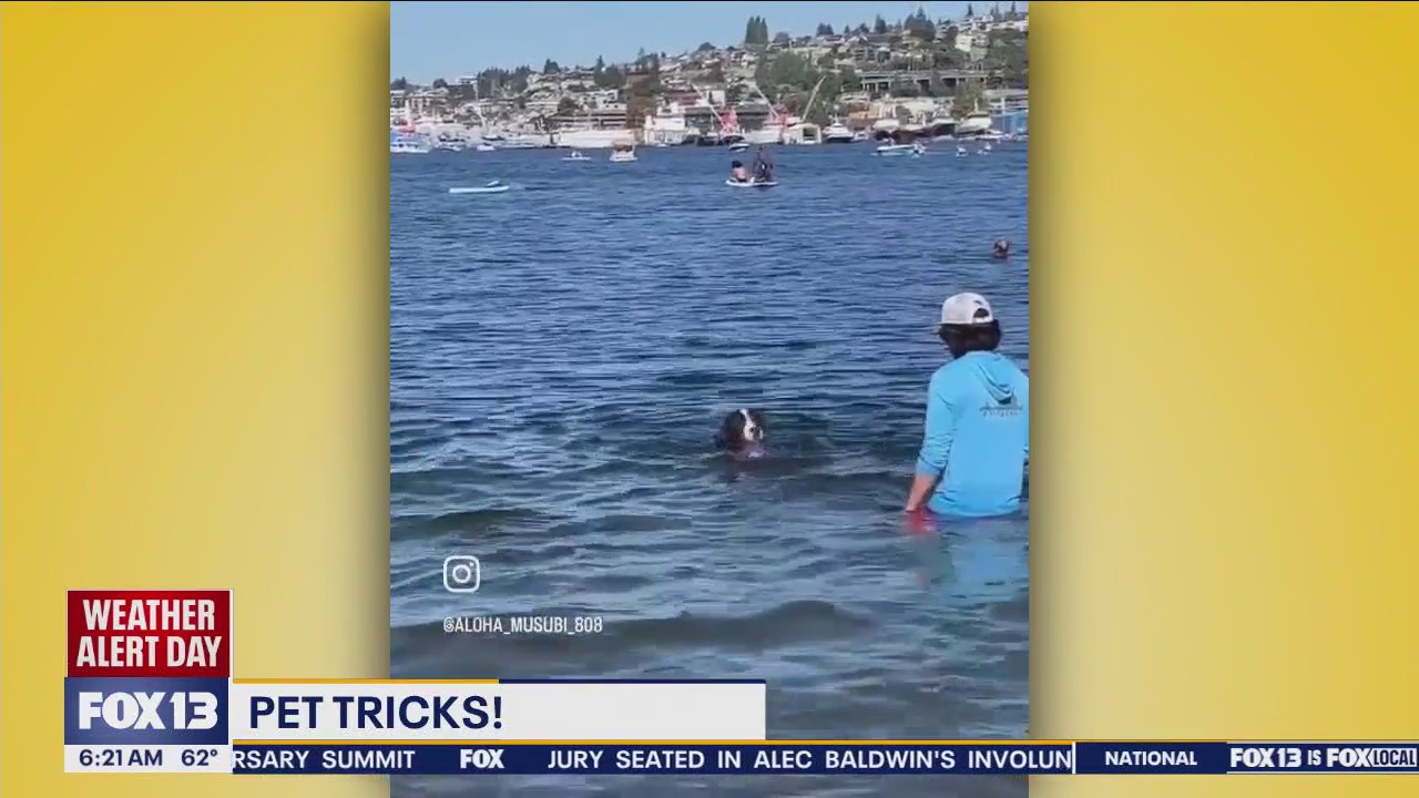 Pet Tricks for Wednesday, July 10