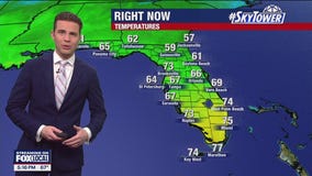 Tampa weather | Mild temperatures tonight