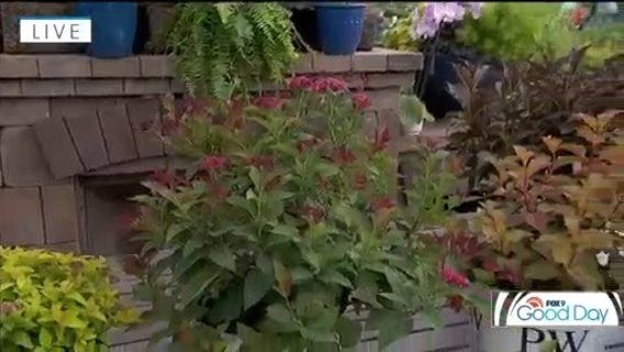 Easy, instant curb appeal