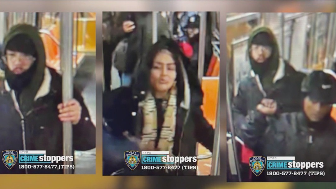 Police ID 3 suspects wanted in 'D' train killing