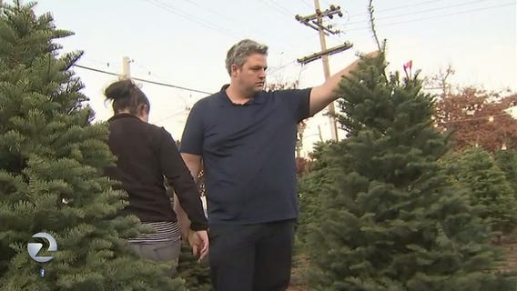 Christmas tree 'short-age'