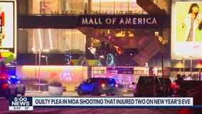 Guilty plea in Mall of America shooting that injured 2 on New Year's
