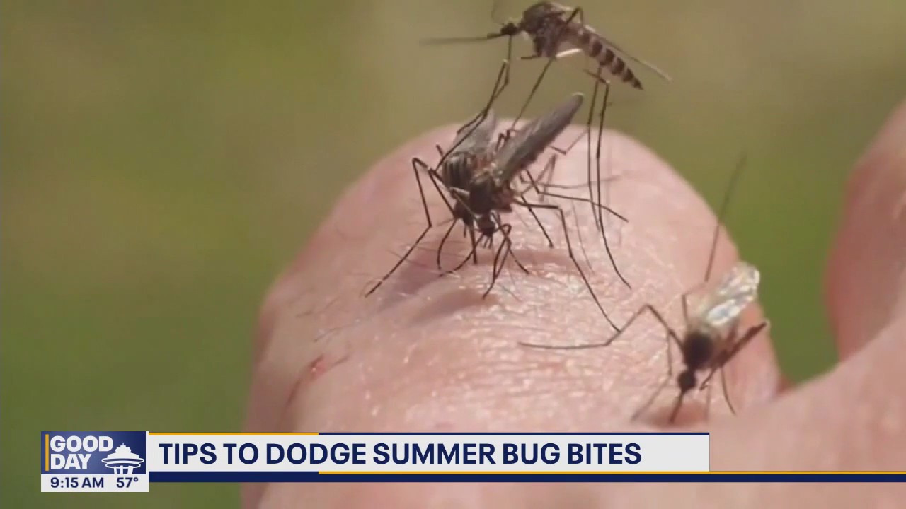 Tips to dodge summer bug bites