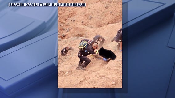 Crews rescue skydiver after her parachute failed