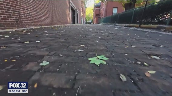There are two remaining wooden street in Chicago | Monument Moment