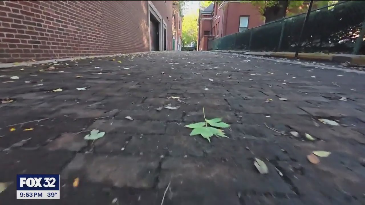 There are two remaining wooden street in Chicago | Monument Moment