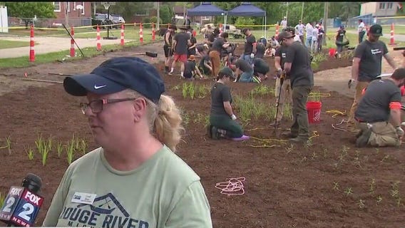 Friends of the Rouge install rain garden in Redford Township