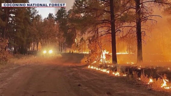 Maid Fire burns over 500 acres near Sedona