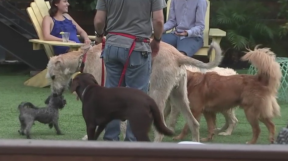 Bayou City Buzz: Barkley's