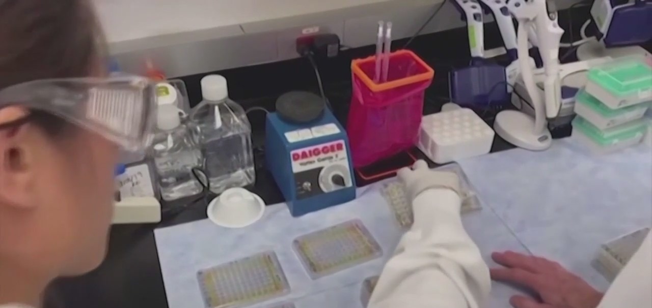 CDC reports surge in respiratory virus