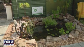 Charley's World | Green Thumb Nursery