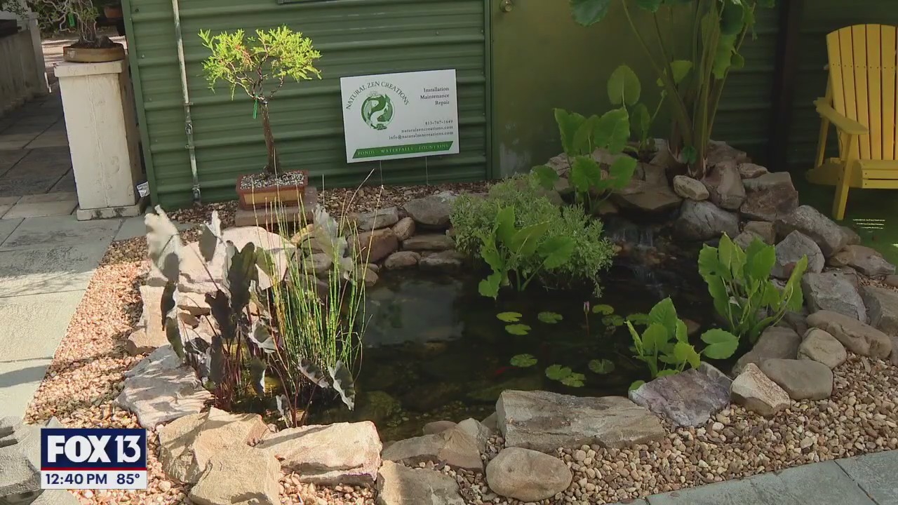 Charley's World | Green Thumb Nursery