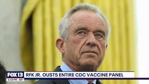RFK Jr ousts entire CDC vaccine panel