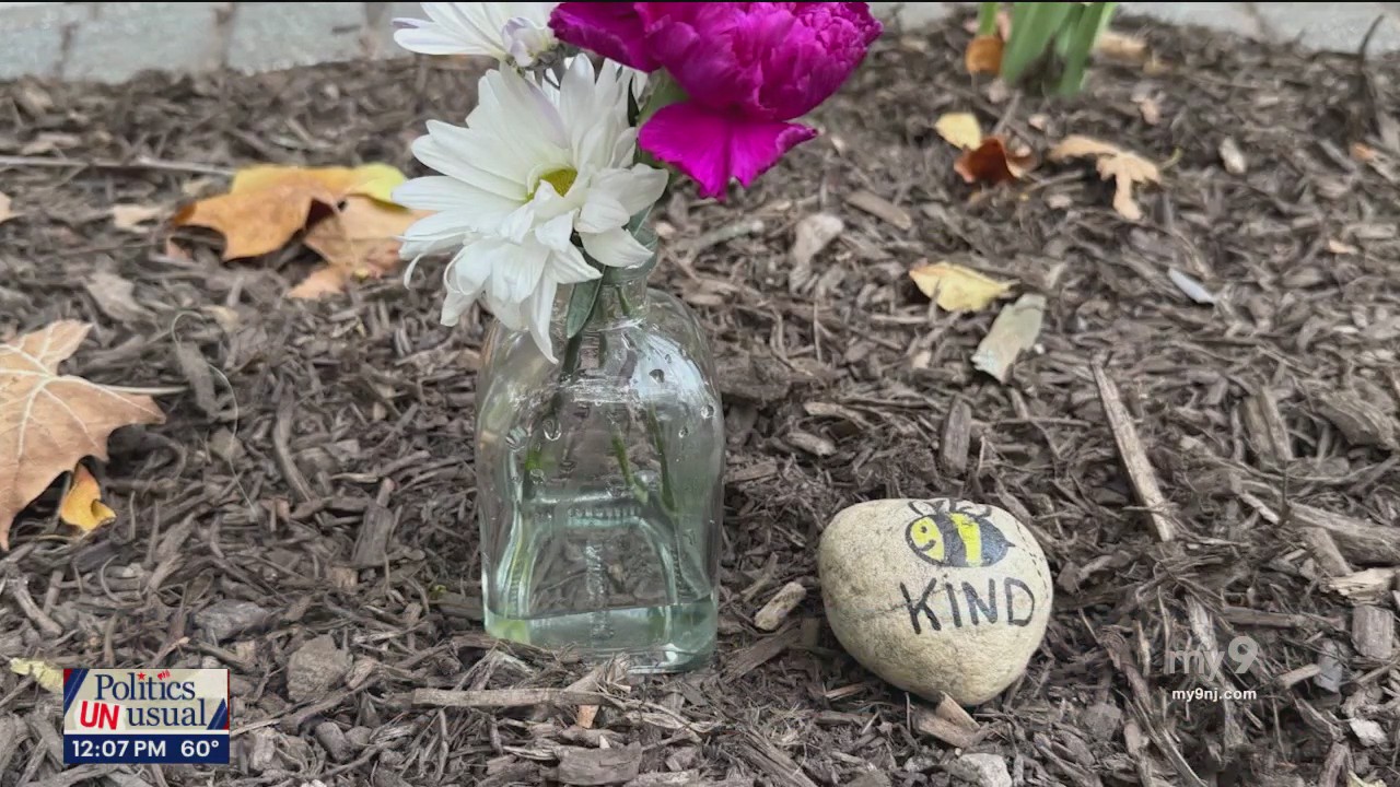 Domestic Violence Awareness / Vaccine Guidelines / Montclair Film Festival