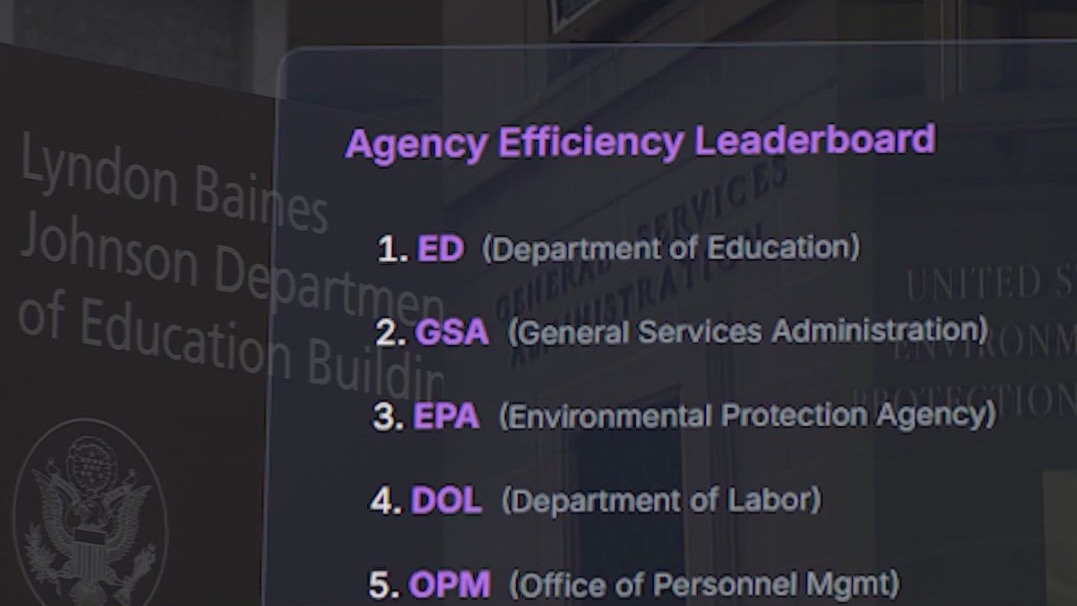 Critics worried about $65B savings by Musk's DOGE